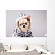 Puppy Coat Wall Decal