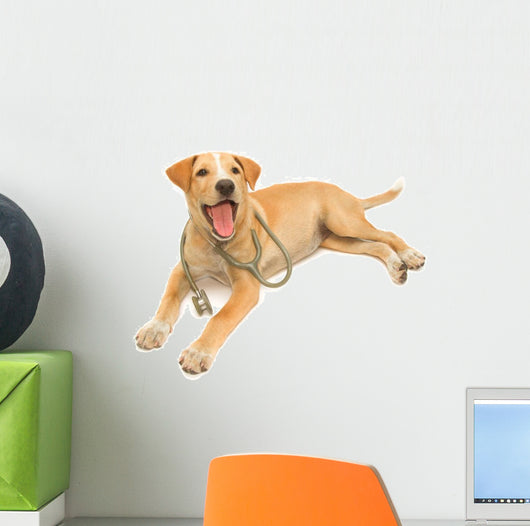 Cute Healthy Puppy with a Stethoscope 