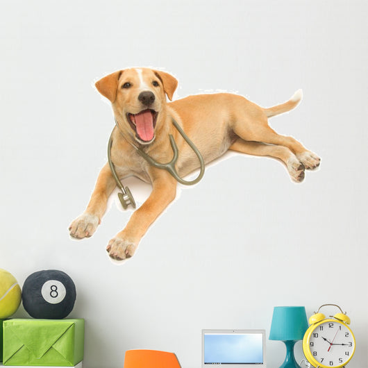 Cute Healthy Puppy with a Stethoscope 
