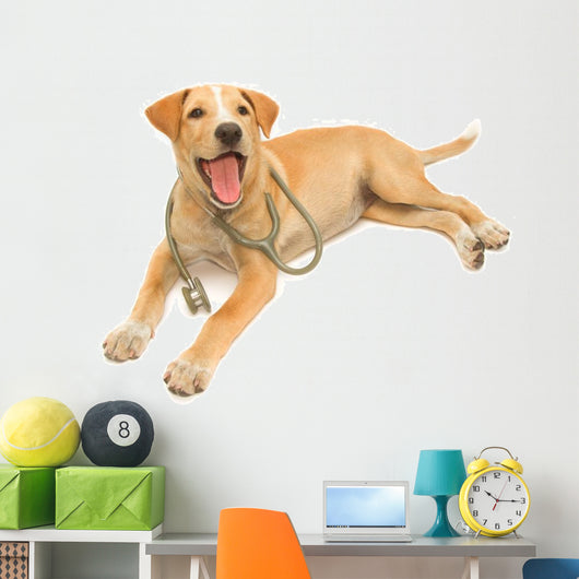 Cute Healthy Puppy with a Stethoscope 