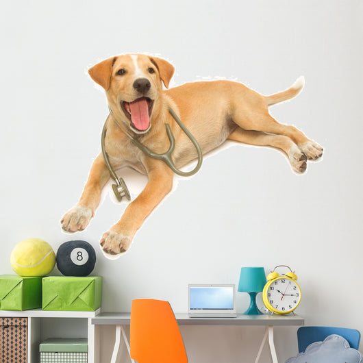Cute Healthy Puppy with a Stethoscope 
