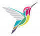 Anna's Hummingbird 