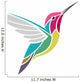 Anna's Hummingbird 
