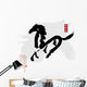 2014 is year of the horse,Chinese calligraphy. word for "horse" 