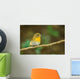 Front Side Portrait of  Hill Blue Flycatcher (cyornis Banyumas 