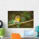 Front Side Portrait of  Hill Blue Flycatcher (cyornis Banyumas 
