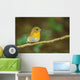 Front Side Portrait of  Hill Blue Flycatcher (cyornis Banyumas 
