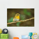 Front Side Portrait of  Hill Blue Flycatcher (cyornis Banyumas 