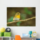 Front Side Portrait of  Hill Blue Flycatcher (cyornis Banyumas 