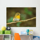 Front Side Portrait of  Hill Blue Flycatcher (cyornis Banyumas 