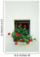 Window with flower on the white wall 