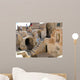 Tatooine Wall Mural