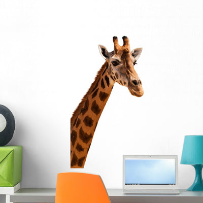 Giraffe Head shown on a wall