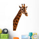 Giraffe Head Isolated 