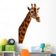 Giraffe Head Isolated 