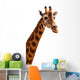 Giraffe Head Isolated 