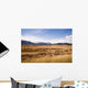 Wide open range land just west of Denver, Colorado. Wall Mural
