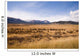 Wide open range land just west of Denver, Colorado. Wall Mural