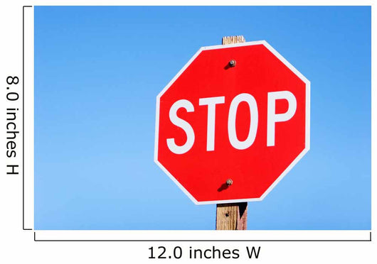 Stop sign on a road Wall Mural