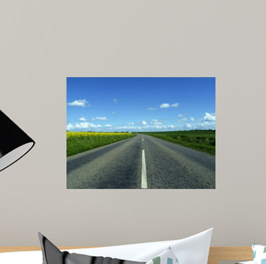Highway in to the Horizon Wall Mural
