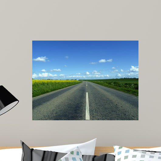 Highway in to the Horizon Wall Mural