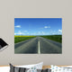 Highway in to the Horizon Wall Mural