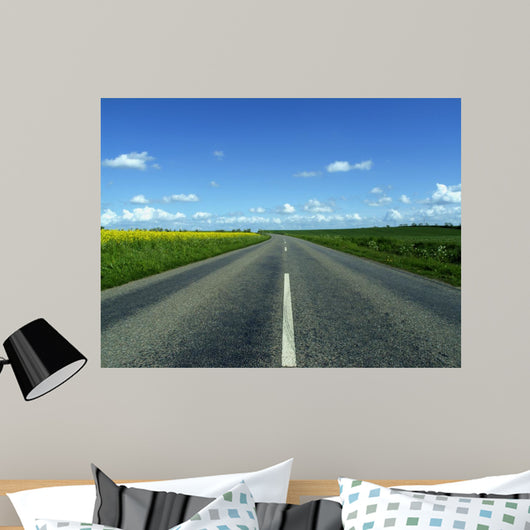 Highway in to the Horizon Wall Mural