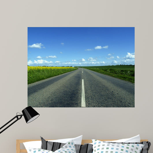 Highway in to the Horizon Wall Mural
