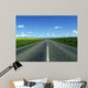 Highway in to the Horizon Wall Mural