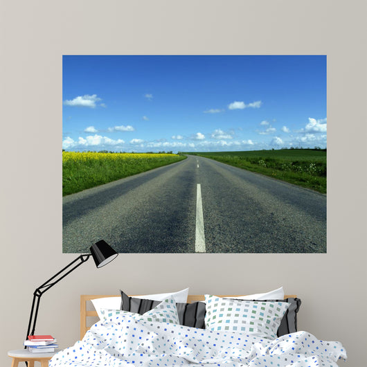 Highway in to the Horizon Wall Mural