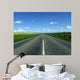 Highway in to the Horizon Wall Mural