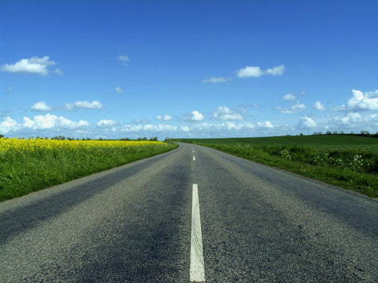 Highway in to the Horizon Wall Mural