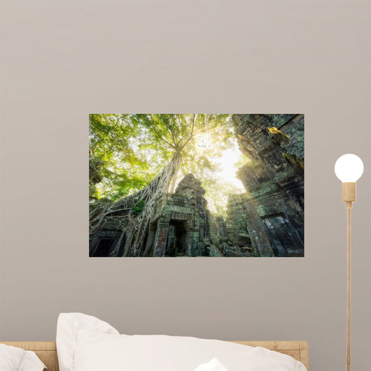 Temple Ta Prohm Cambodge Siem Reap 