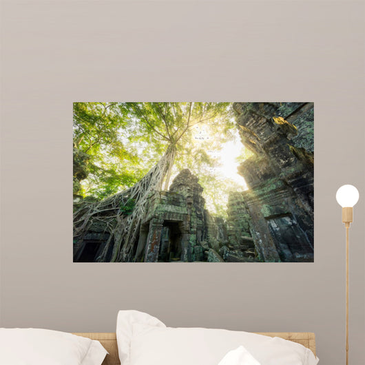 Temple Ta Prohm Cambodge Siem Reap 