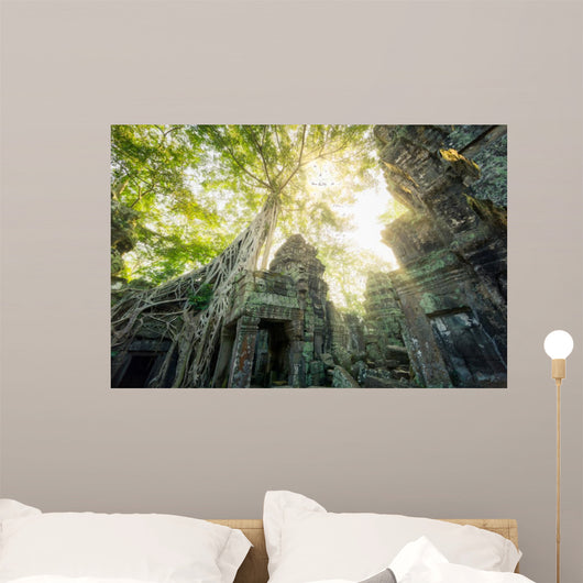 Temple Ta Prohm Cambodge Siem Reap 