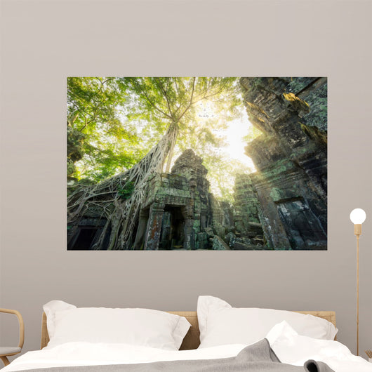 Temple Ta Prohm Cambodge Siem Reap 