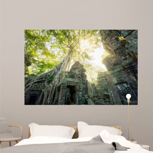 Temple Ta Prohm Cambodge Siem Reap 