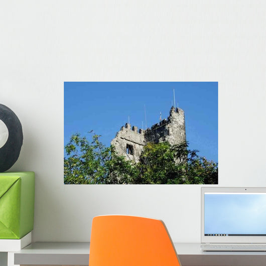 Drachenfels Rhine Winter King Wall Decal