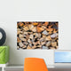 Dry Chopped Firewood Logs in a Pile 