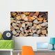 Dry Chopped Firewood Logs in a Pile 