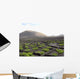 Blick Auf Die Weinberge Wall Decal