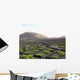 Blick Auf Die Weinberge Wall Decal