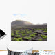 Blick Auf Die Weinberge Wall Decal