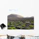 Blick Auf Die Weinberge Wall Decal