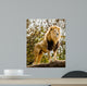 Male Lion Looking Out Atop Rocky Outcrop 
