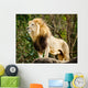 Male lion looking out atop rocky outcrop 