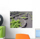 Looking Vineyards Valley Es Wall Decal