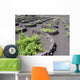 Looking Vineyards Valley Es Wall Decal