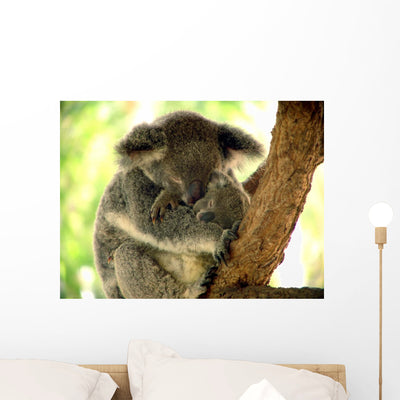 Siesta shown on a wall
