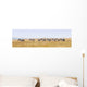 Zebras Row Walking Savannah Wall Decal
